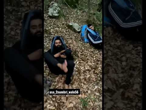 India 🇮🇳 to America 🇺🇲 #usa donkey #viral #youtubeshorts #video🇺🇲🎯⛳️