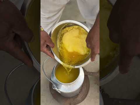 दानेदार गाँव का देसी घी 😍 #desi #ghee #rajasthan #food #villagelife #foodshorts #youtubeshorts
