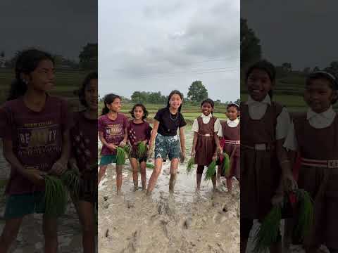 Kheti kisani ke maje maje ❤️😍🌾 #shortsvideo #nishitiwari #khet #khetibadi #shorts #desi