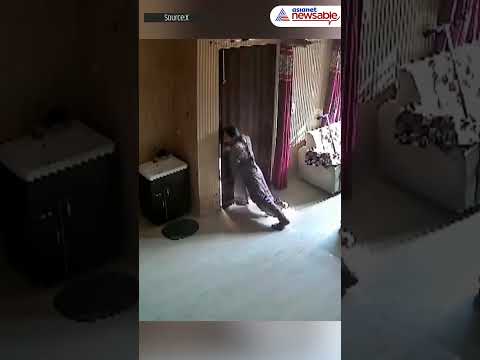 Amritsar Woman’s Heroic Act: Stops 3 Robbers Single-Handedly in Viral CCTV Footage