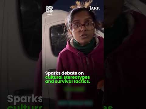 Indian Woman Cleans Windscreen Abroad, Demands Money | Viral Street Scene Sparks Debate