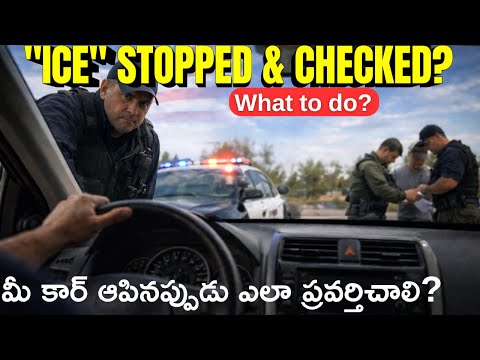 H-1B Visa Holder Questioned for 4 Hours — Staying Calm and Presenting Documents #ice #h1bvisa