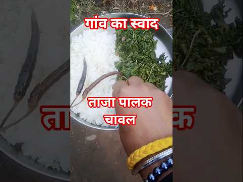 बिना मसाले के पालक चावल खा के देखो #uttarakhand #desi #food #villagefood #villagelife #khana #yt