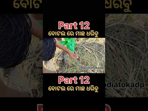 #minivlog #desi #small #fish