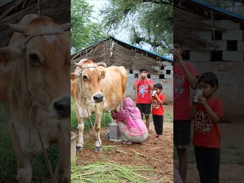 गाँव की Desi Life And Cow 🐄 Milk 🥛 Motivational Story #shorts #villagelife #cow #viral