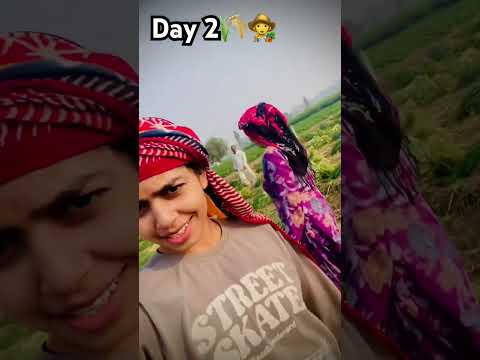 #day2#farming #trendingshorts #familyvlog #farmlife #villagelife #desi #@nehaparjapat312