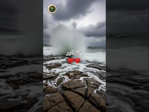 Quran #status #views #fypシ #viral #trending #viralvideo #youtubeshorts #love #islam #shorts