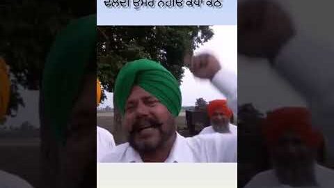 ਢਲਦੀ ਉਮਰੇ#harpalshamla#shorts #newpunjabisong #kuldeepchatha #mewapalia