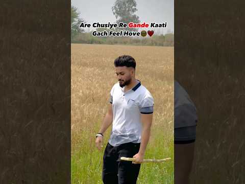 Desi 🌾❤Roots Song Bintu Pabra Song Status #shorts #desi