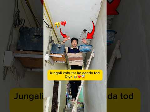 Jungali kabutar ka aanda tod Diya 😭💔😱 #minivlog #viral #shorts