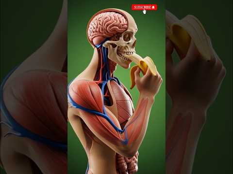 Ai#dubai#beauty#doctor#asmr #animation#facts#funny #lifestyle#love#food #famous #shorts#india#uk#usa