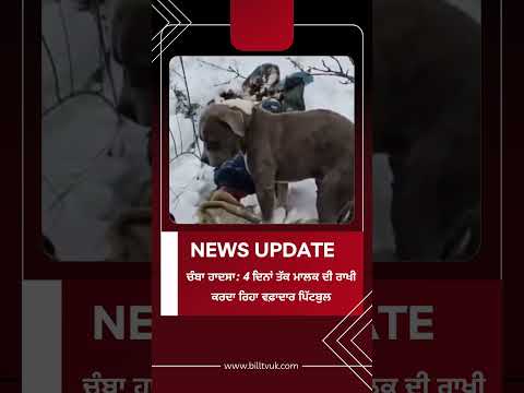 ਚੰਬਾ ਹਾਦਸਾ: 4 ਦਿਨਾਂ ਤੱਕ ਮਾਲਕ ਦੀ ਰਾਖੀ ਕਰਦਾ ਰਿਹਾ ਵਫ਼ਾਦਾਰ ਪਿੱਟਬੁਲ