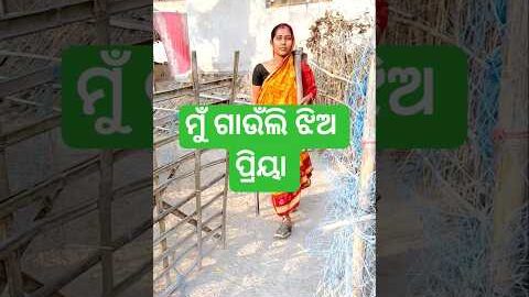 ମୁଁ ଗାଉଁଲି ଝିଅ ପ୍ରିୟା @Kiran_Kumar_kk2 #trending #odiavolg#minivlog#viral#shorts#desi#odiafamily