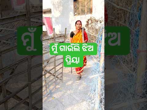ମୁଁ ଗାଉଁଲି ଝିଅ ପ୍ରିୟା @Kiran_Kumar_kk2 #trending #odiavolg#minivlog#viral#shorts#desi#odiafamily
