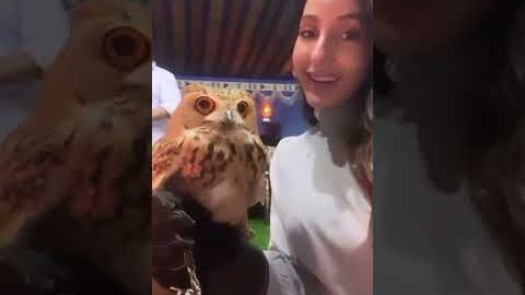 nora fatehi 🔥 enjoy in Dubai e#shorts #trending #viral #youtubeshorts #explore #norafatehi #dubai