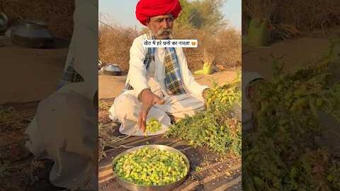 खेत में हरे चने का नाश्ता😍 #villagelife #desi #youtubeshorts  #shorts #food