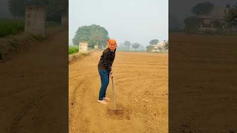khet mein kaam #viral #villagerlifestyle #farming #ganvkilifestyle #shortvideos #desi