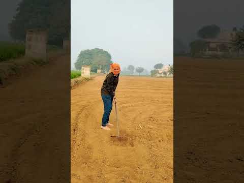 khet mein kaam #viral #villagerlifestyle #farming #ganvkilifestyle #shortvideos #desi