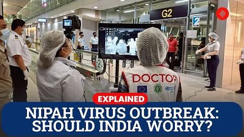 Explained: Nipah Virus Cases in India — How Dangerous Is the Infection and Should You Be Worried?