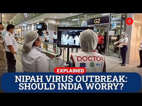 Explained: Nipah Virus Cases in India — How Dangerous Is the Infection and Should You Be Worried?