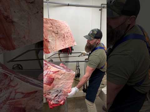 Separating a Beef Rib/Chuck. 🔪🥩 #shorts #shortsvideo #fyp #viral