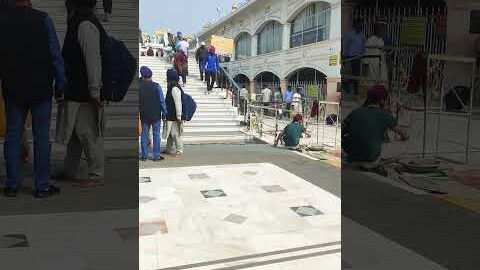 मालिक @SadhanPath @BhajanMarg @Hit_Das #viral #trending #sikh #sikhism #gurudwara #live