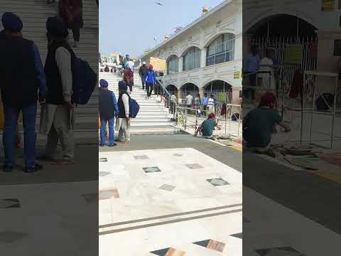 मालिक @SadhanPath @BhajanMarg @Hit_Das #viral #trending #sikh #sikhism #gurudwara #live