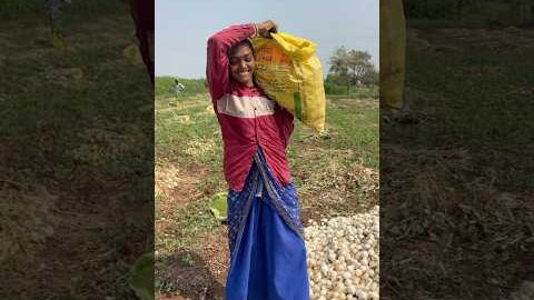 આજે ગયા યુદ્ધ કરવા 😂 Farming Mini Vlog | #comedy #minivlog #desi #youtubeshorts