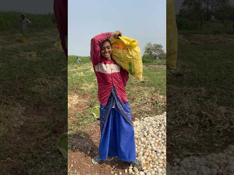 આજે ગયા યુદ્ધ કરવા 😂 Farming Mini Vlog | #comedy #minivlog #desi #youtubeshorts