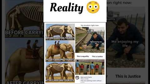 #shorts #viral #reaction #memes