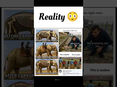 #shorts #viral #reaction #memes