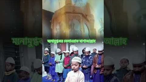 তেলাওয়াত Viral Telawat / সূরা ফাতেহা/ তারাবীর তেলাওয়াত #telawat #islamic