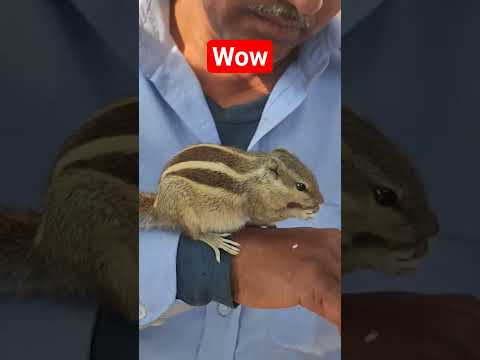 loving @BhajanMarg @SadhanPath #viral #love #trending #motivation #shortvideo #shorts #yt