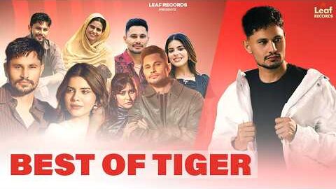 BEST OF TIGER | Jasmeen Akhtar | Geet Goraya | New Punjabi Songs 2026 | Latest Punjabi Songs 2026