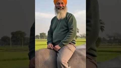 ਮੇਰਾ ਨਵਾਂ ਗੀਤ ਵੇਖੋ ਸਾਰੇ #youtubeshorts #punjabi #desi #shortfeed #boost @sidhumoosewala