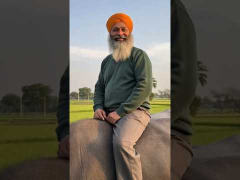 ਮੇਰਾ ਨਵਾਂ ਗੀਤ ਵੇਖੋ ਸਾਰੇ #youtubeshorts #punjabi #desi #shortfeed #boost @sidhumoosewala