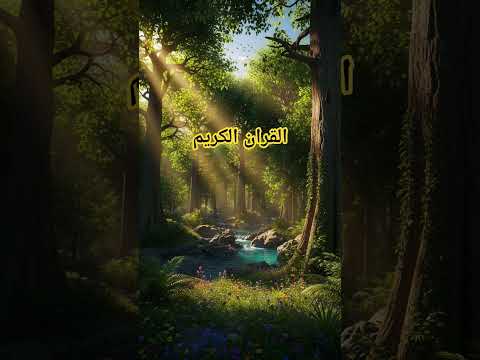 Quran Urdu translation #quran #duet #quranictranslation #bayan #love #beautiful #shortsviral