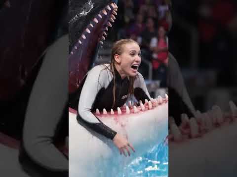 jessica radcliffe accident original video | jessica dolphin show incident #jessica #dolphin #shorts