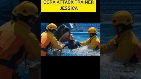 Jessica orca dolphin attack #jessica#dolphin#attack#short#live #news#JessicaOrca#trendingLast