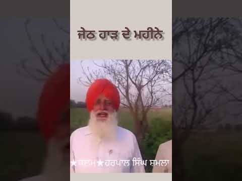 ਜਦ ਮਾਂ ਨਹੀਓਂ#harpalshamla #shorts #newpunjabisong #shortsviral
