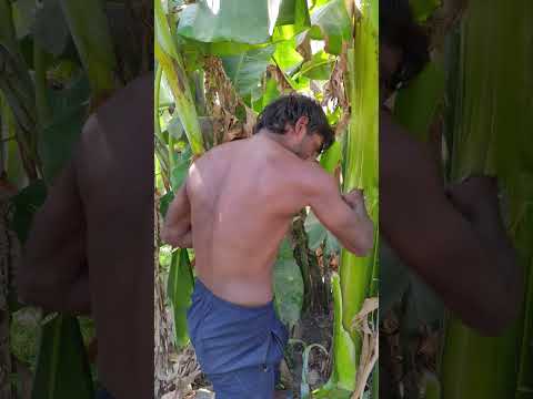 power of desi gym 😱😱  #desi #power #gym #trending #shorts