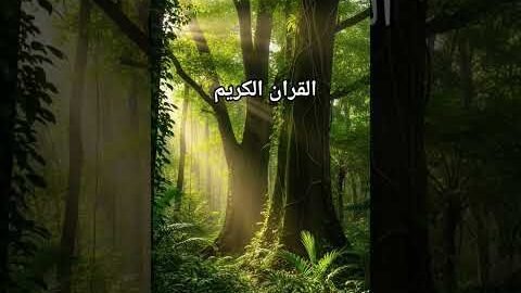 Quran Urdu translation #quran #duet #quranictranslation #bayan #love #shortsviral #beautiful