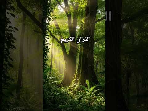 Quran Urdu translation #quran #duet #quranictranslation #bayan #love #shortsviral #beautiful