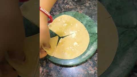 Unique Paratha Folding #shorts #trending #food #desi #paratha #roti #youtubeshorts #viralvideo