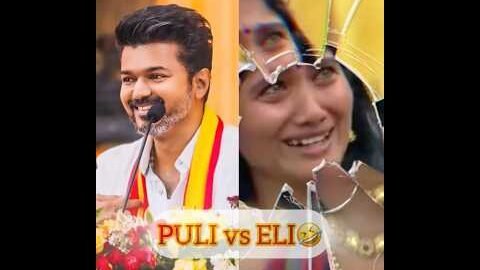 Puli vs Eli🤣 @TeamOrangeMittai @TVKVijayHQ-Offl @tvkvijay_offical @actorvijay..official @actorvijai