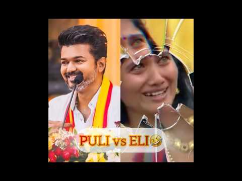 Puli vs Eli🤣 @TeamOrangeMittai @TVKVijayHQ-Offl @tvkvijay_offical @actorvijay..official @actorvijai