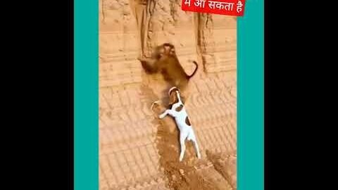 ईश्वर किसी रूप मे  आ सकता  @SadhanPath @BhajanMarg#vira#trending#funny#cute#love#motivation