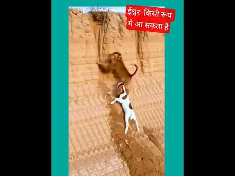 ईश्वर किसी रूप मे  आ सकता  @SadhanPath @BhajanMarg#vira#trending#funny#cute#love#motivation