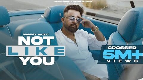 Not Like You ( Peesa Thodi Hu ) Hammy Muzic | Legacy | Latest Haryanvi Songs 2025