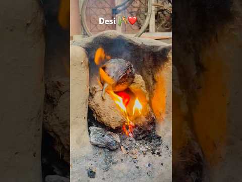 Desi ❤️🌾 Desi lifestyle Nikhil choudhary  #shorts #desi #nikhilchoudhary l